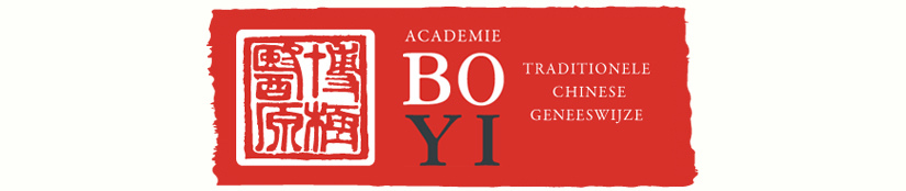 Academie Bo Yi