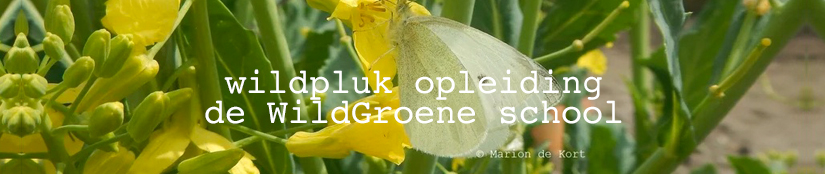 Wildpluk opleiding - de WildGroene school