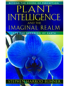 Plant Intelligence and the Imaginal Realm