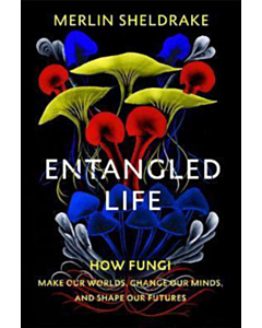 Entangled Life