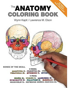 The Anatomy Coloring Book