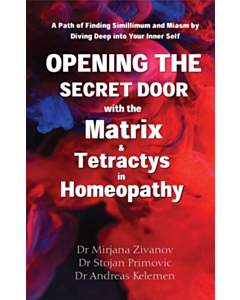 Opening the Secret Door with the Matrix &amp; Tetractys in Homeopathy