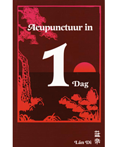 Acupunctuur in een dag