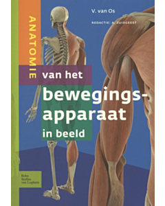 Anatomie van het bewegingsapparaat in beeld