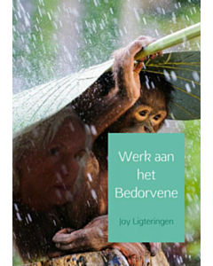 Werk aan het Bedorvene